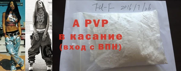 спайс Баксан