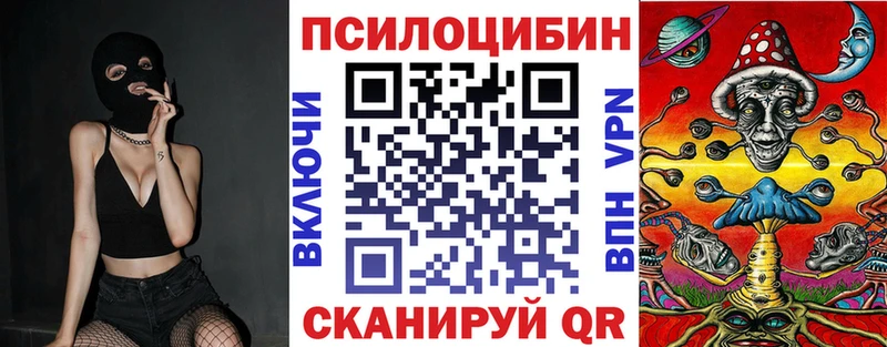 дарнет шоп  Рудня  Псилоцибиновые грибы ЛСД 